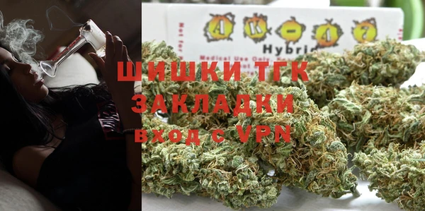 мет Алексин