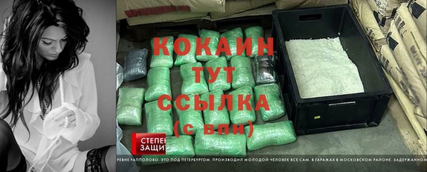 мет Алексин