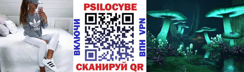 блэк спрут ССЫЛКА Павловская Галлюциногенные грибы Magic Shrooms