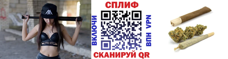 Каннабис ГИДРОПОН Павловская